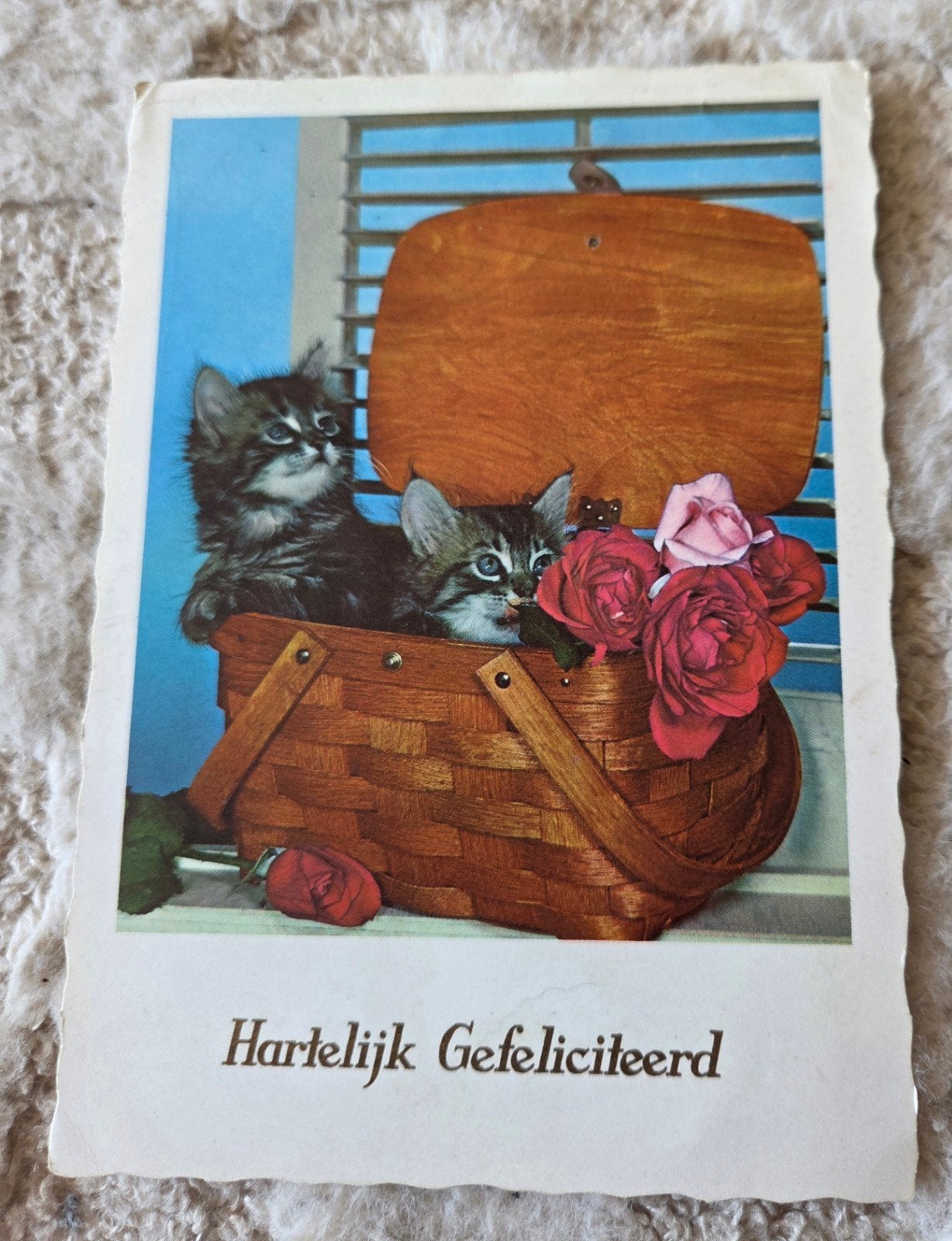 Kittens in mand - Hartelijk Gefeliciteerd, Verzenden, 1960 tot 1980, Gelopen, Hond of Kat