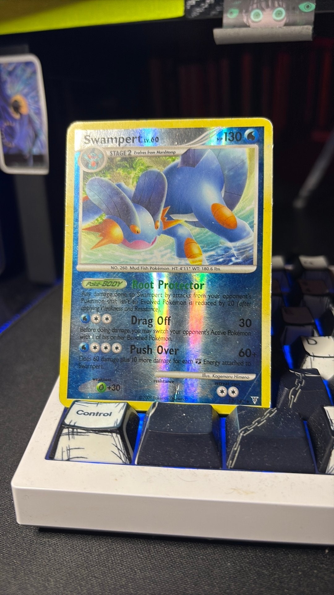swampert 12, Ophalen of Verzenden, Gebruikt