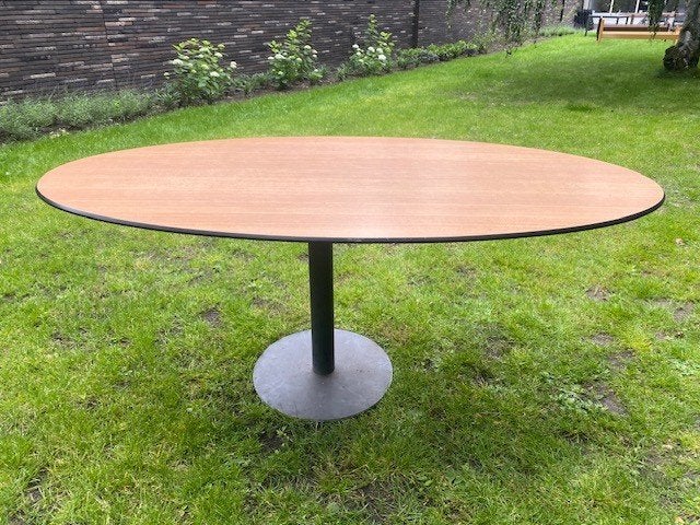 tafel ovaal volkernblad 180x90cm, Huis en Inrichting, Tafels | Eettafels, Ophalen, Ovaal, 200 cm of meer, 100 tot 150 cm