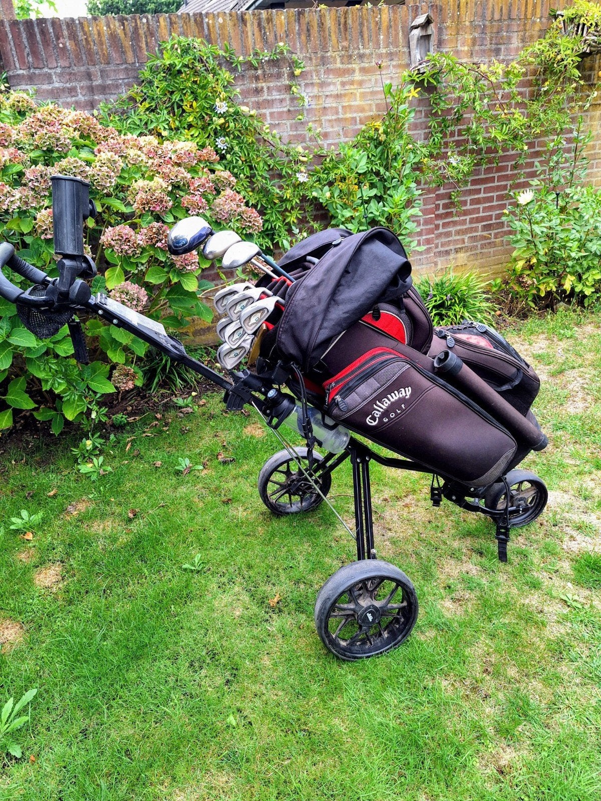 Callaway dames golfset met 3 wheels golftrolley, Sport en Fitness, Golf, Ophalen, Gebruikt, Set, Callaway