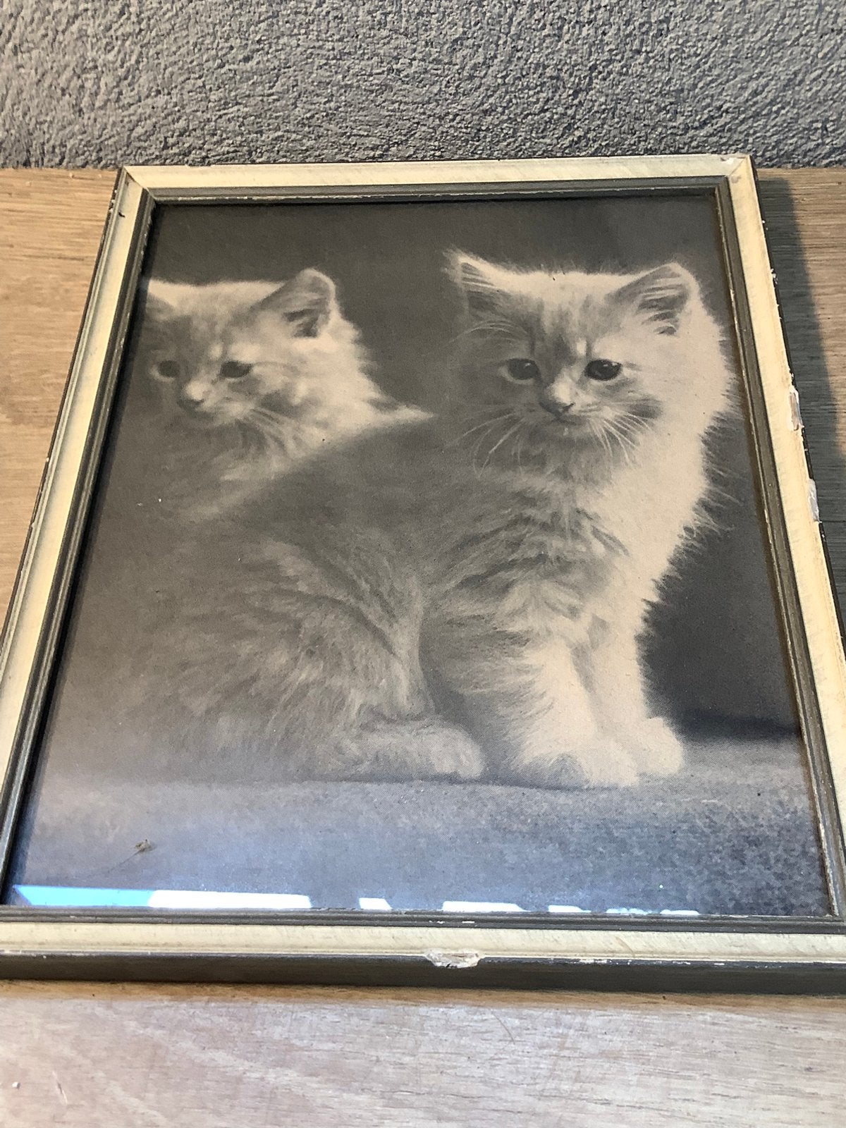 Vintage prent met poezen zwart wit, Ophalen of Verzenden, 1940 tot 1960, Gebruikt, Dier