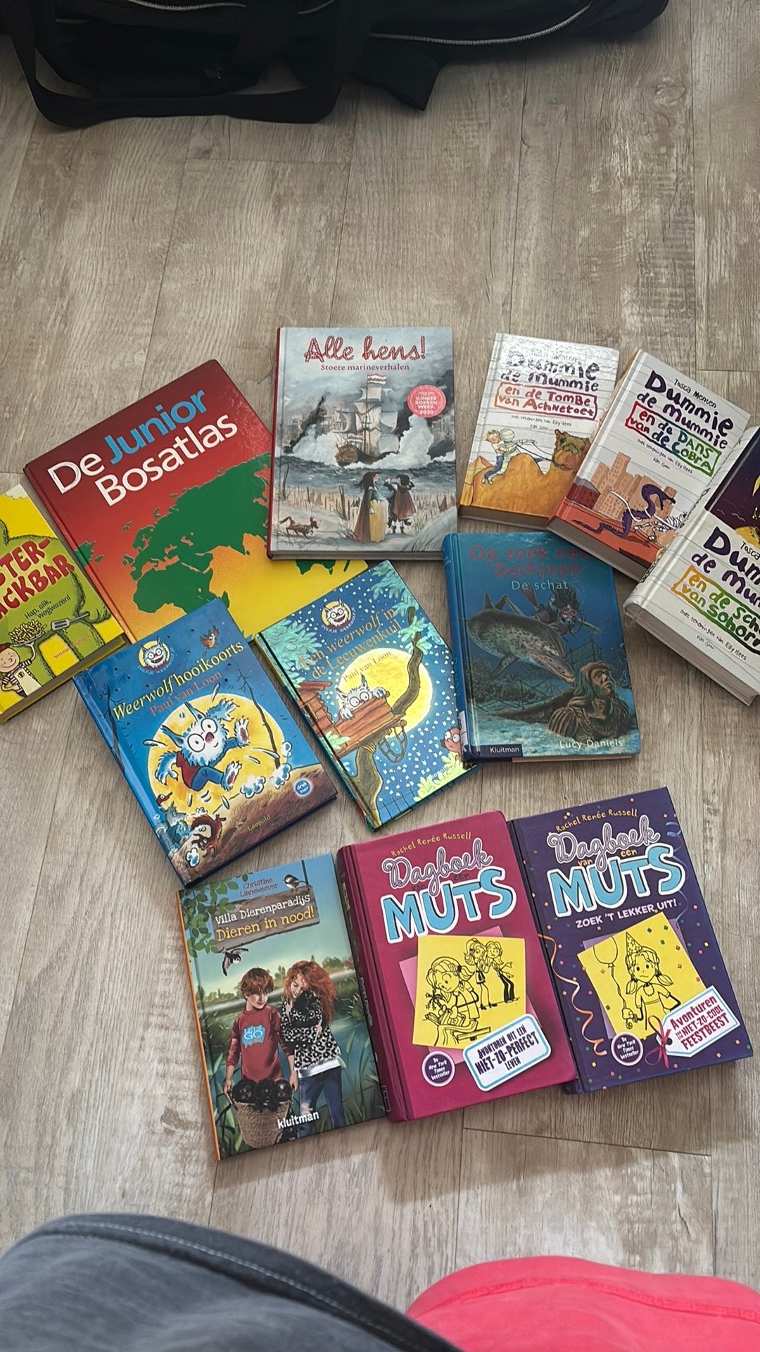 12 kinderboeken diverse titels, Ophalen of Verzenden, Zo goed als nieuw