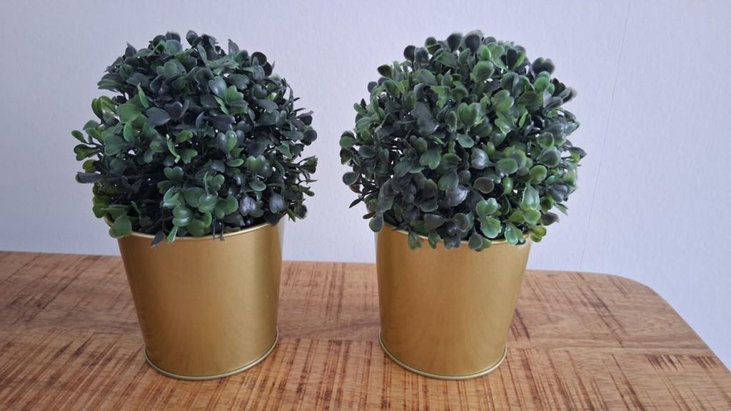 2 Ikea gouden bloempotjes met plantjes € 5, Binnen, Gebruikt, Kunstplant, Ophalen of Verzenden