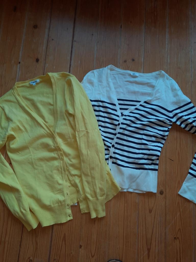 Elf mooie dames vestjes vd Hema, maat l en xl, Kleding | Dames, Ophalen of Verzenden, Nieuw, Paars