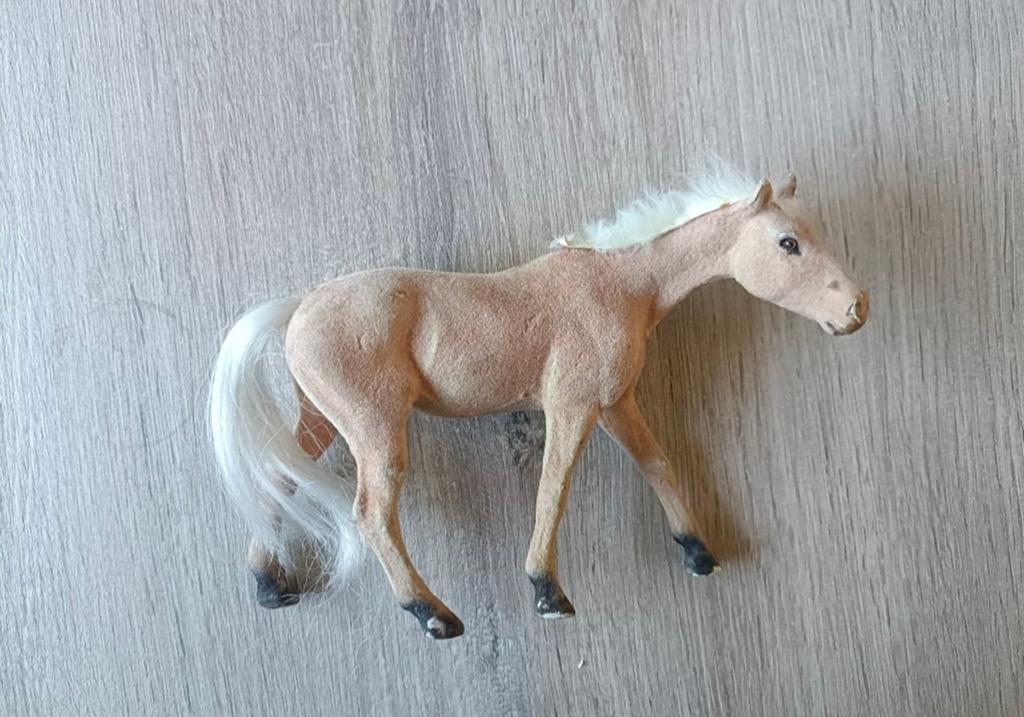 paardje met gebruikerssporen, Verzenden, Gebruikt, Jongen of Meisje