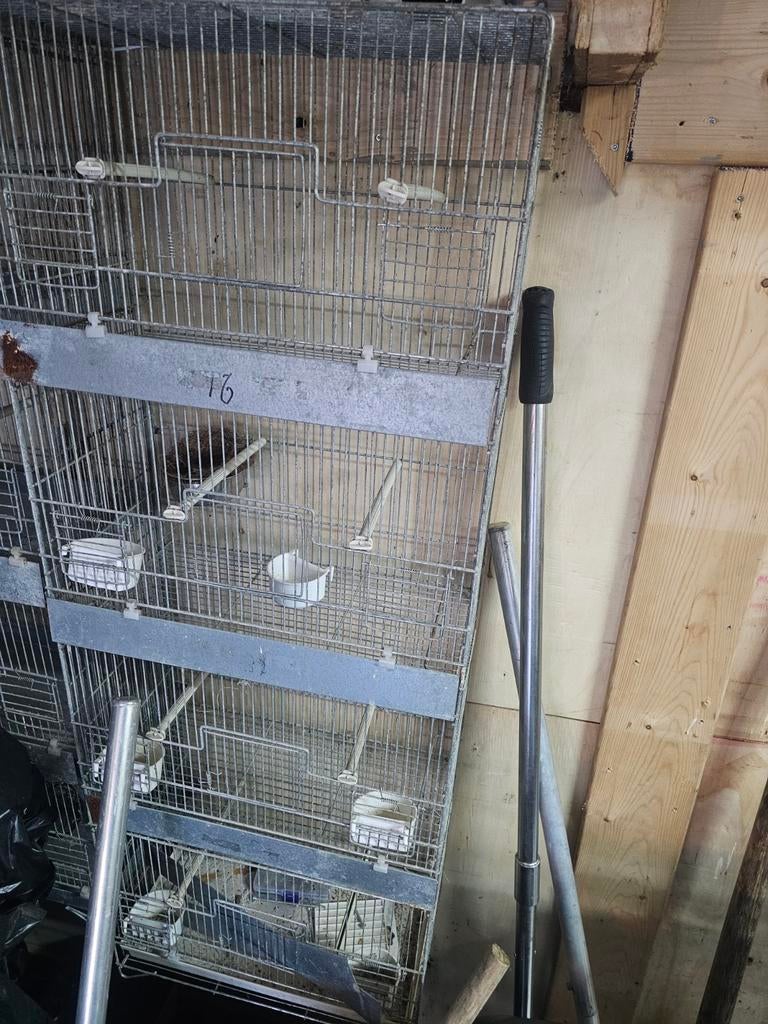 Broedkooien en draadkooien tekoop, Dieren en Toebehoren, Ophalen