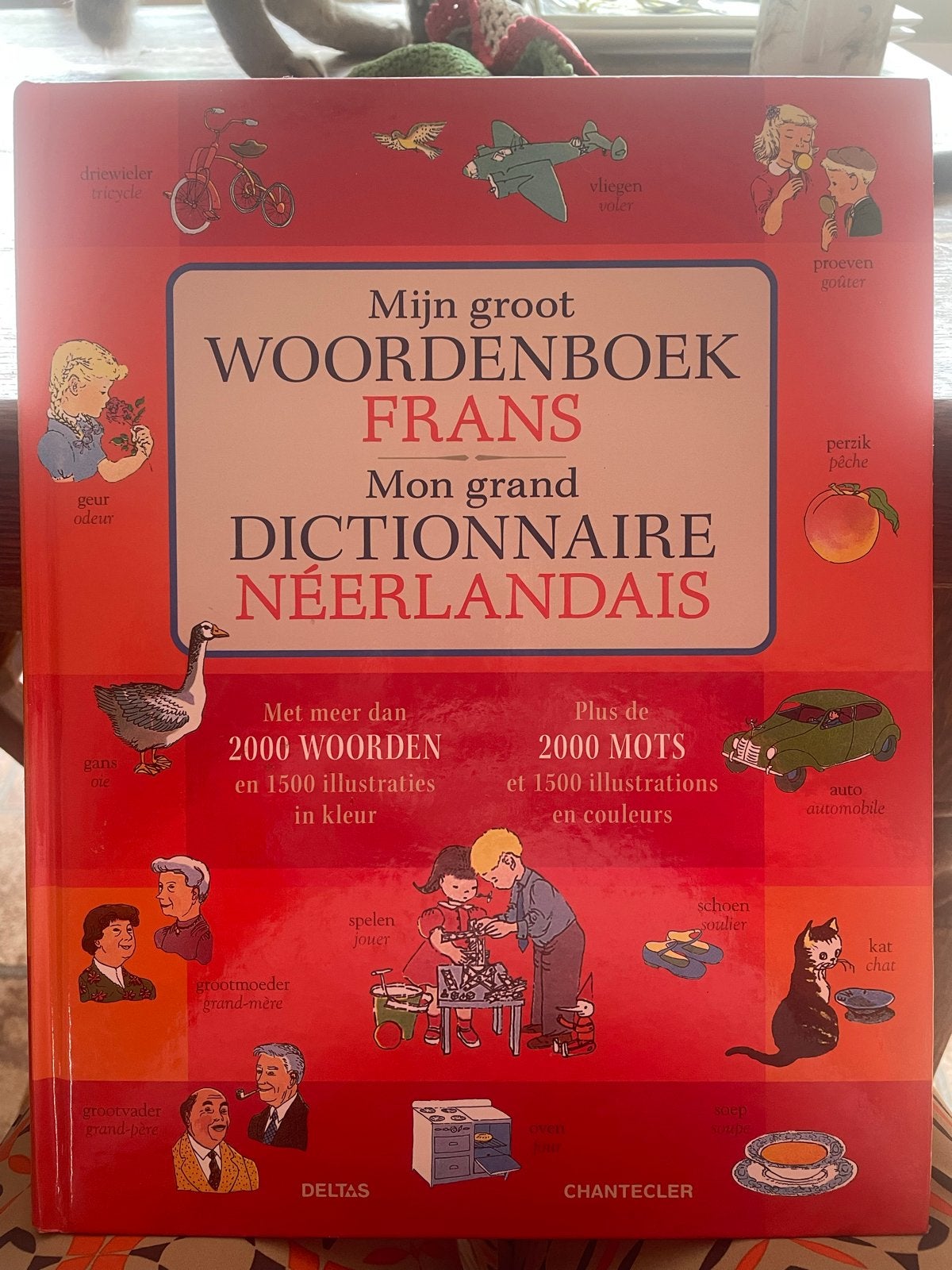 Mijn Groot Woordenboek Frans-Nederlands voor kinderen, Ophalen of Verzenden, Zo goed als nieuw, Overige uitgevers, Nederlands