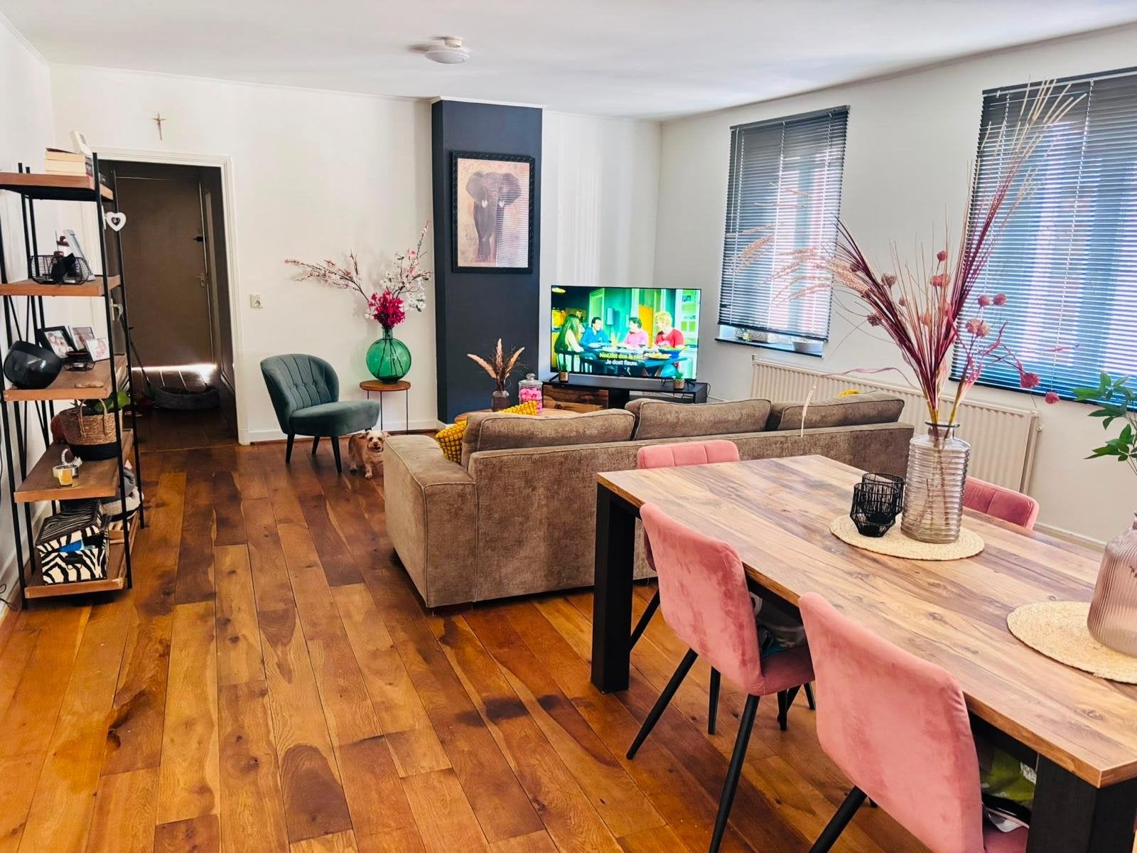 Mooi appartement te huur Sittard, Direct bij eigenaar, Limburg, 2 kamers, Appartement