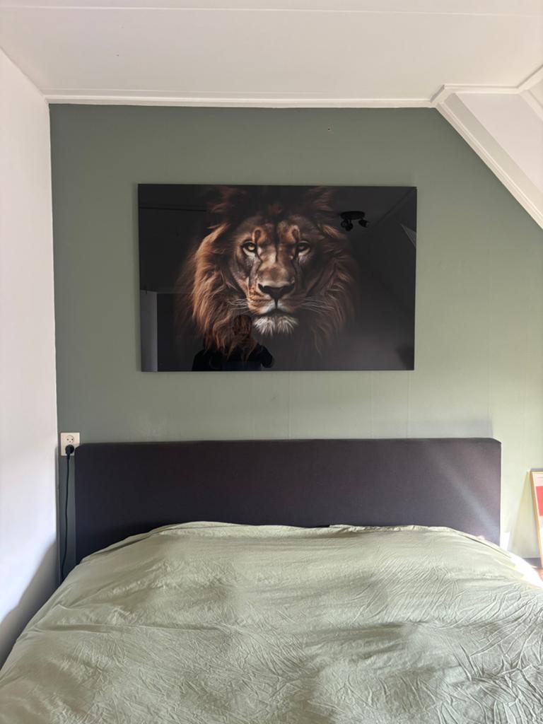Schilderij leeuw - acrylglas, Ophalen, Zo goed als nieuw, Schilderij, 100 tot 125 cm