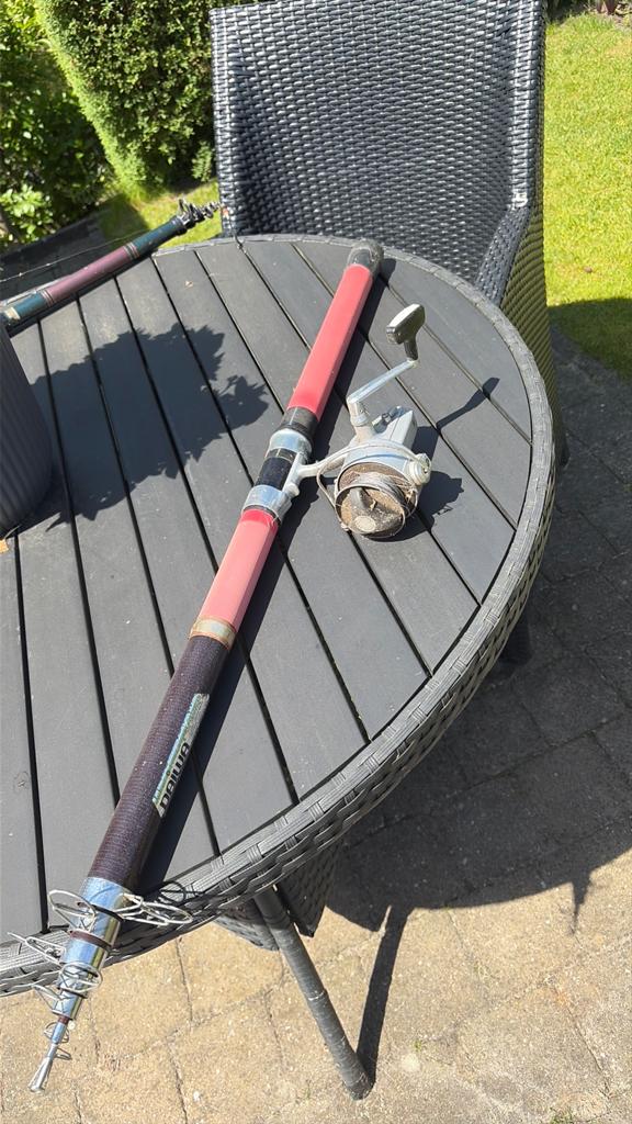 Werphengel Daiwa, Watersport en Boten, Hengelsport | Algemeen, Ophalen, Gebruikt, Werphengel