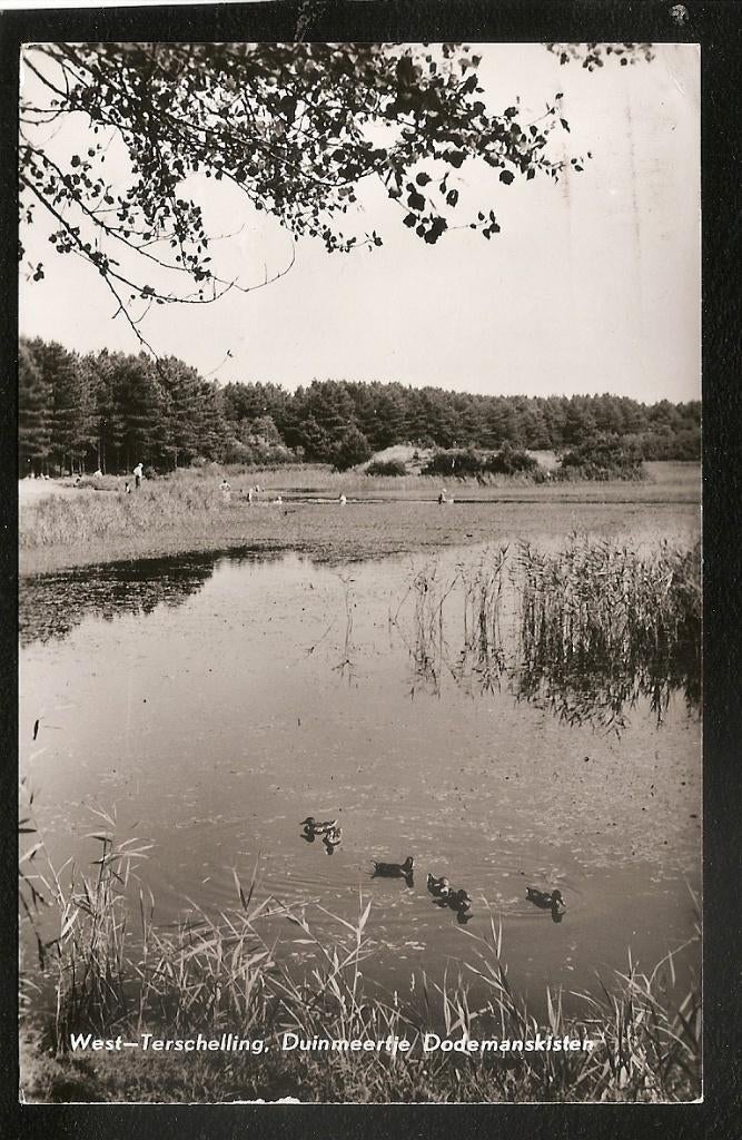 West-Terschelling, Duinmeertje Dodemanskisten, Ophalen of Verzenden, 1960 tot 1980, Gelopen, Friesland