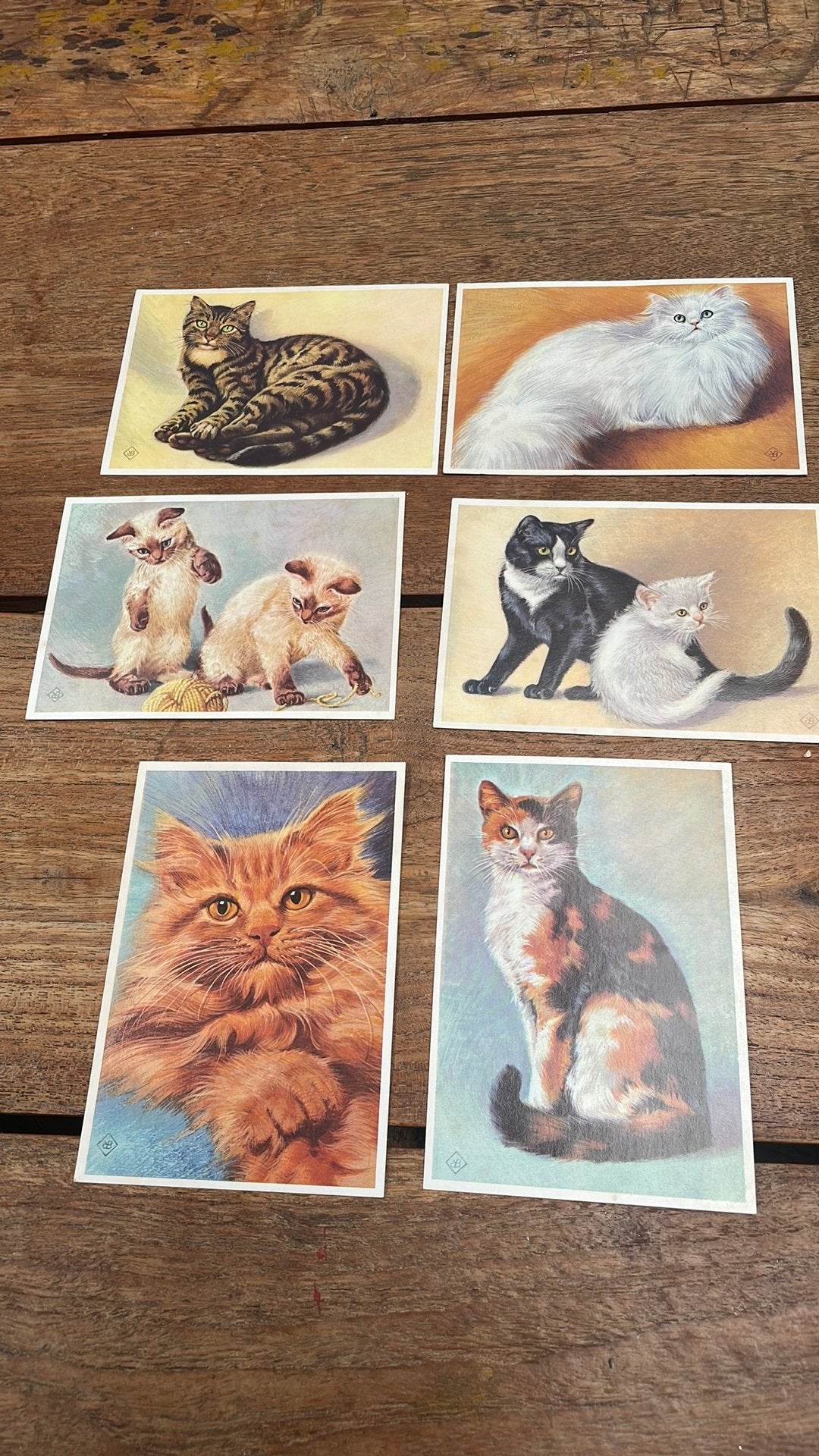 Oude ansichtkaarten poezen/katten, Ko van den Broecke, Verzamelen, Ophalen of Verzenden, Hond of Kat
