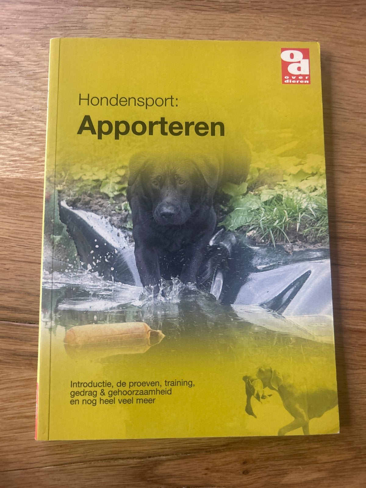 Hondensport: Apporteren - Introductie, training & meer, Ophalen of Verzenden, Gelezen, Honden