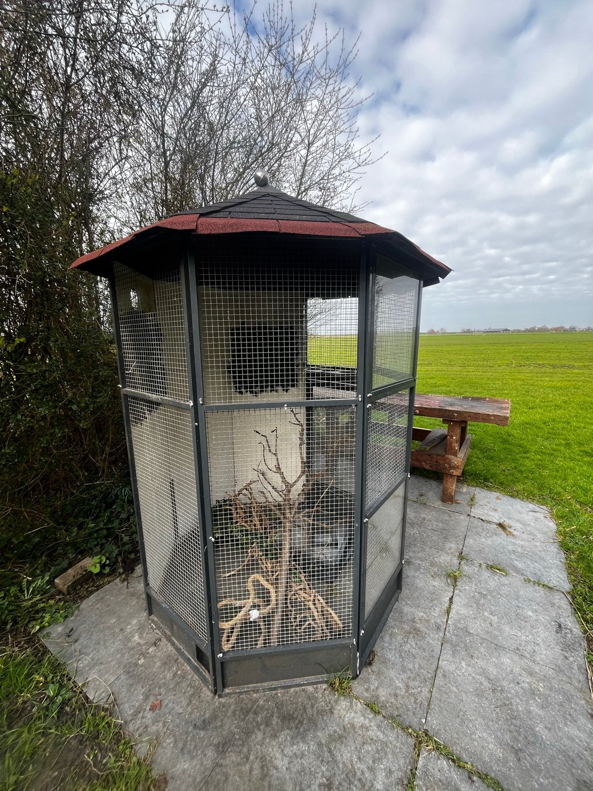 Vrijstaande aluminium voliere, Ophalen, Gebruikt, Aluminium, Volière