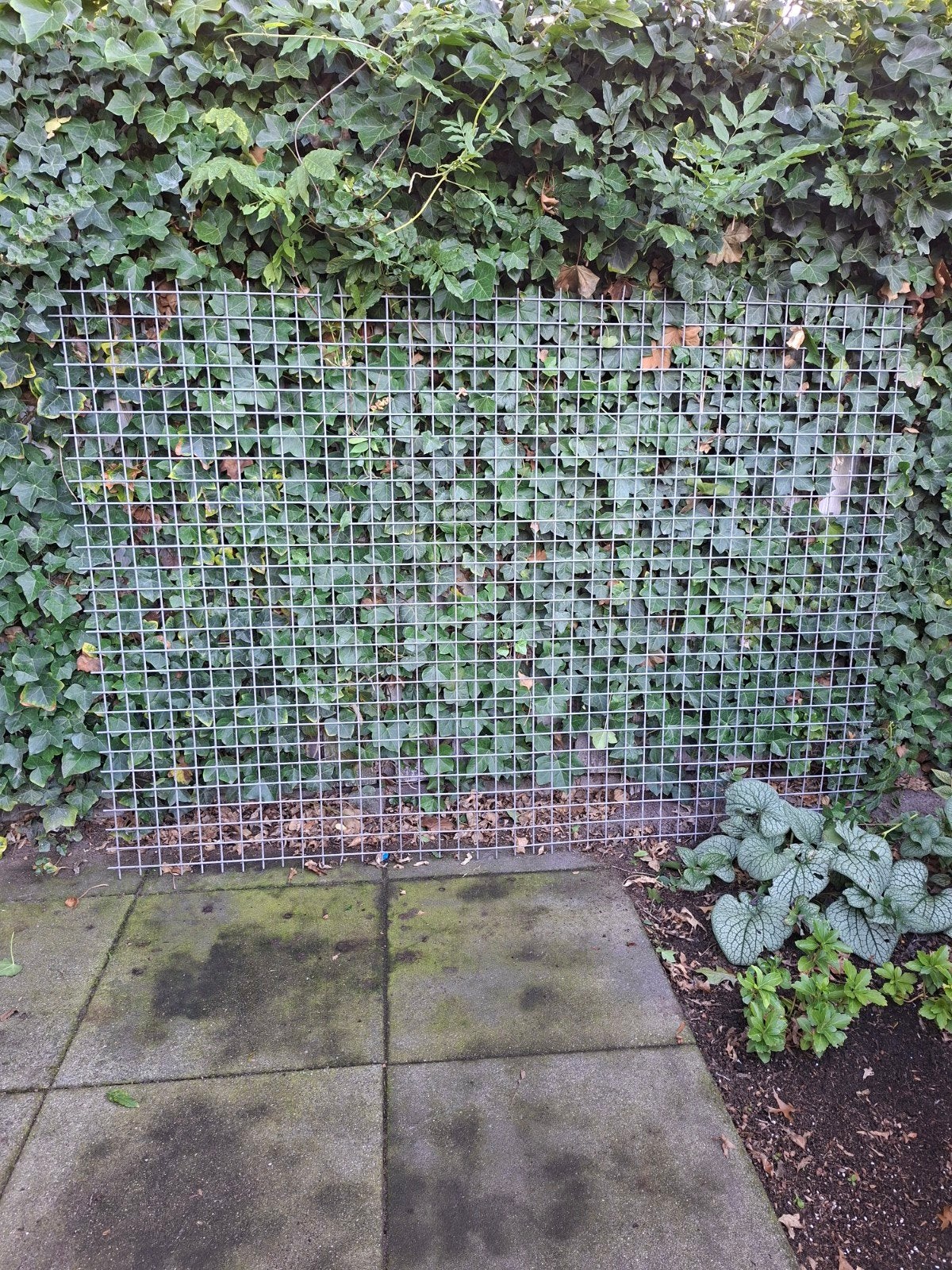 gegalvaniseerd gaaspanelen 120 x 200, Tuin en Terras, Gaas en Draad, Ophalen, Zo goed als nieuw, Minder dan 10 meter, Raster