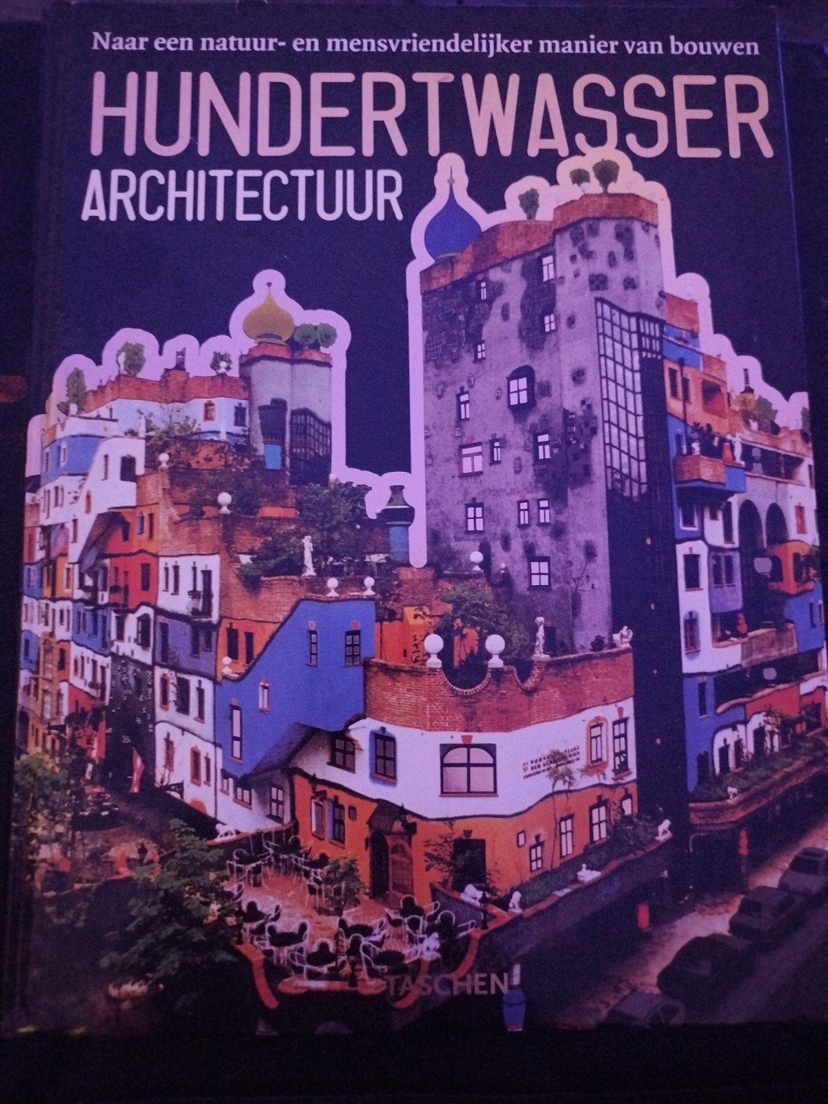 HUNDERTWASSER ARCHITECTUUR TASCHEN HARDCOVER, Friedenreich Hundertwasser, Ophalen of Verzenden, Zo goed als nieuw, Architectuur algemeen