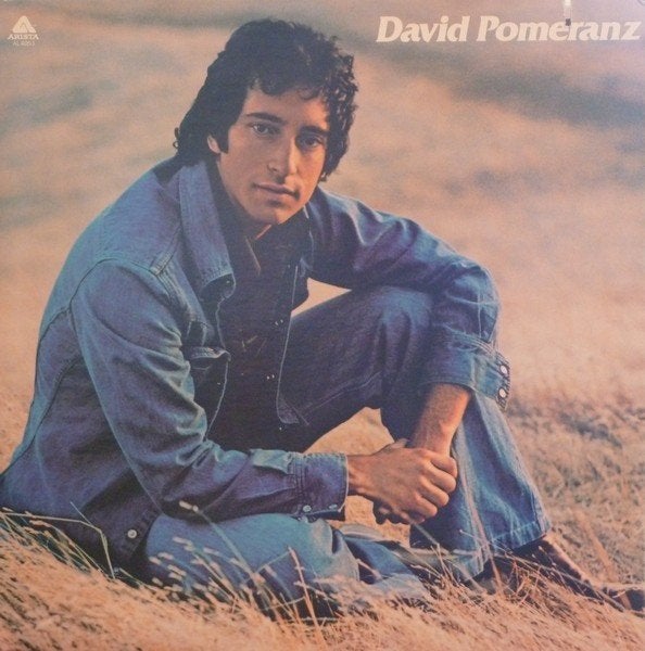 LP DAVID POMERANZ - IT'S IN EVERYONE OF US ( Singer/Song ), Singer-songwriter, Gebruikt, Ophalen of Verzenden, Inclusief binnenhoes