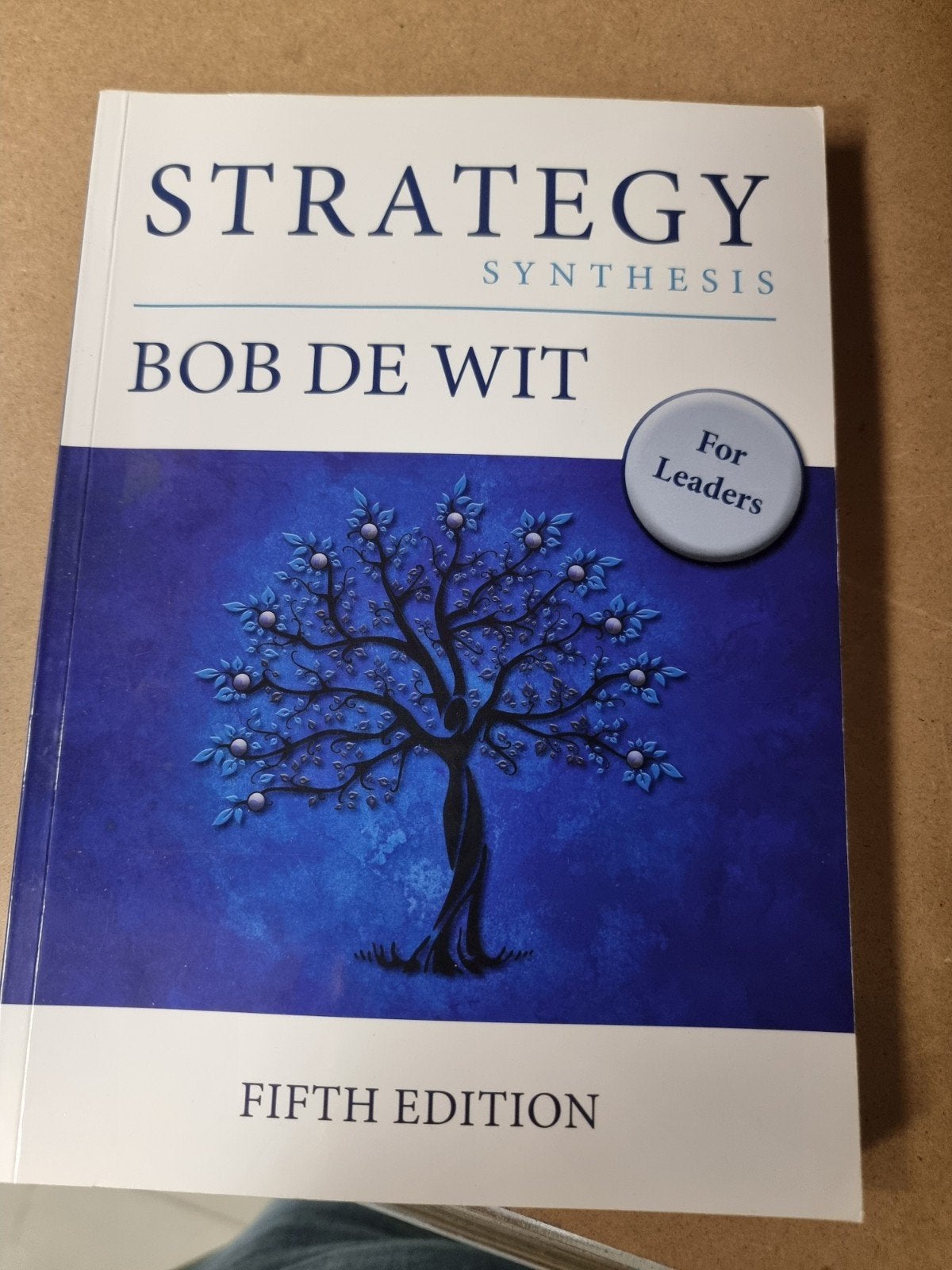 Strategy Synthesis - Bob de Wit (Fifth Edition), Ophalen of Verzenden, Zo goed als nieuw, Management, Bob de Wit