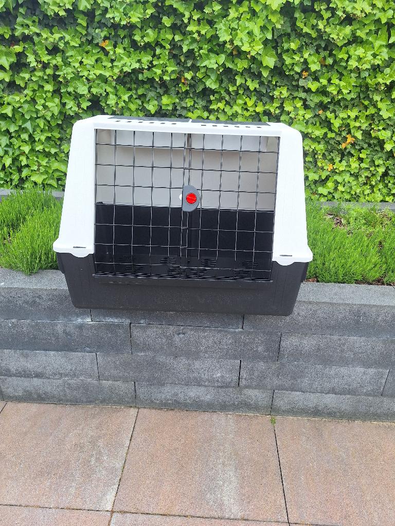Trandportbox hond, Dieren en Toebehoren, Ophalen, Gebruikt