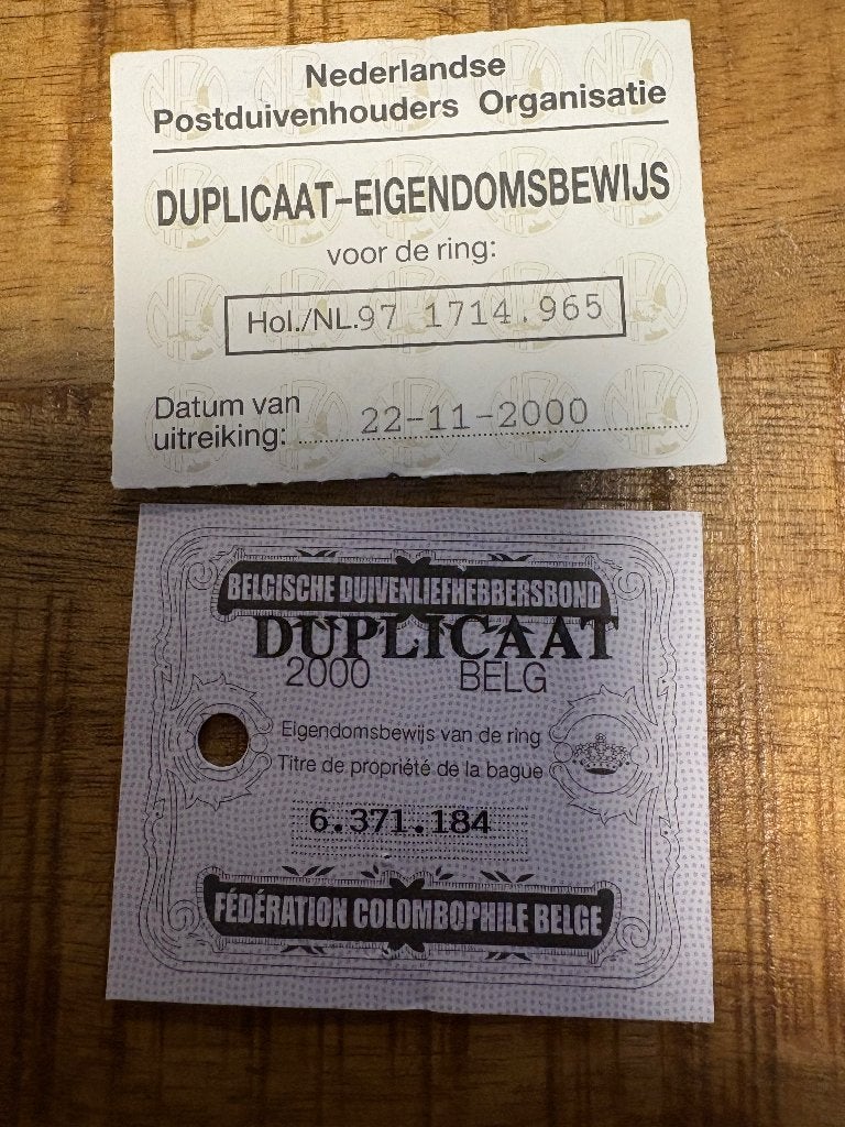 Duplicaat eigendomsbewijzen, Dieren en Toebehoren, Vogels | Duiven, Meerdere dieren