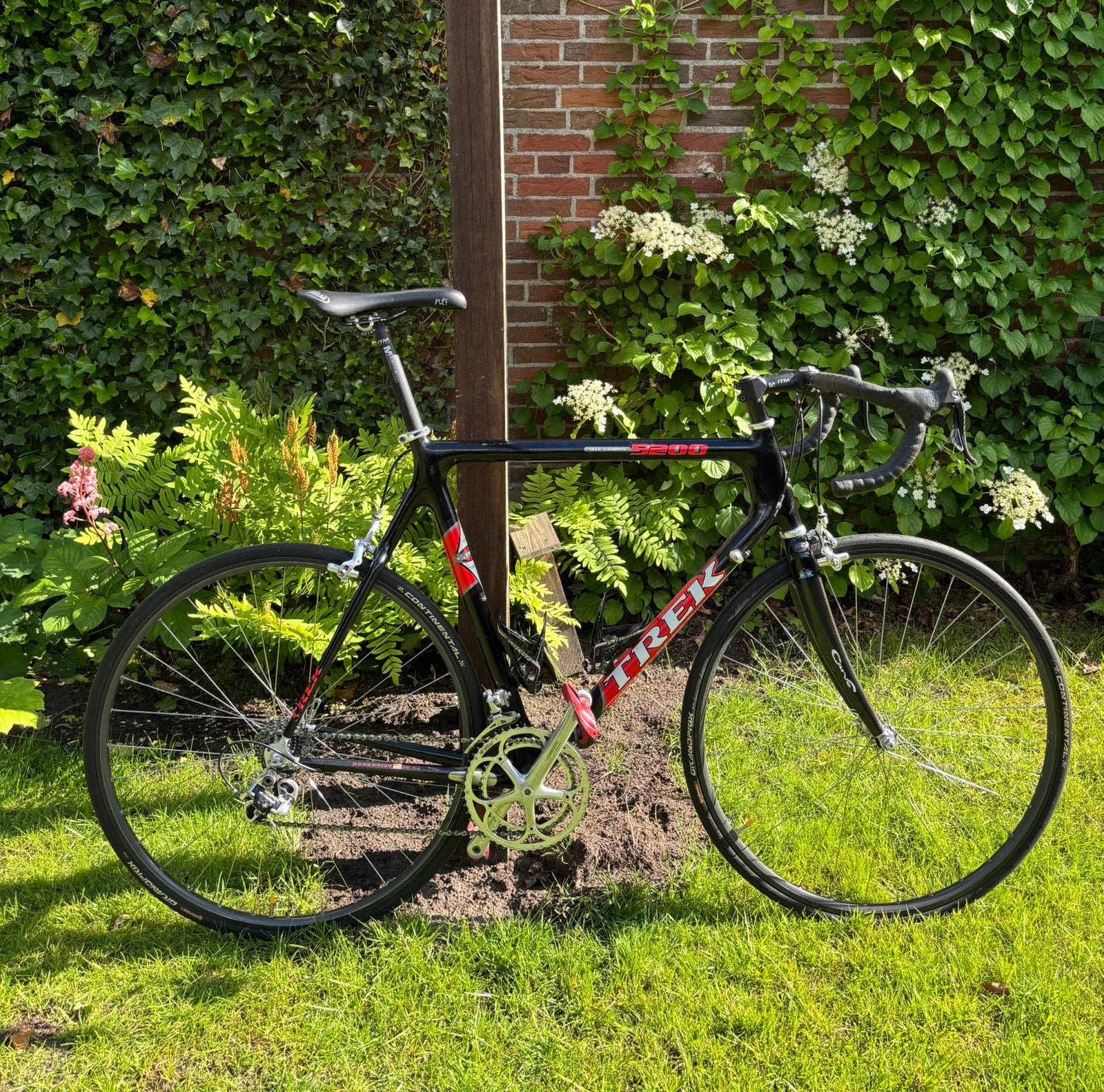 Trek 5200 OCLV Carbon - Campagnolo Record 10-speed - 62 cm, 28 inch, Gebruikt, Velgrem, 15 tot 20 versnellingen