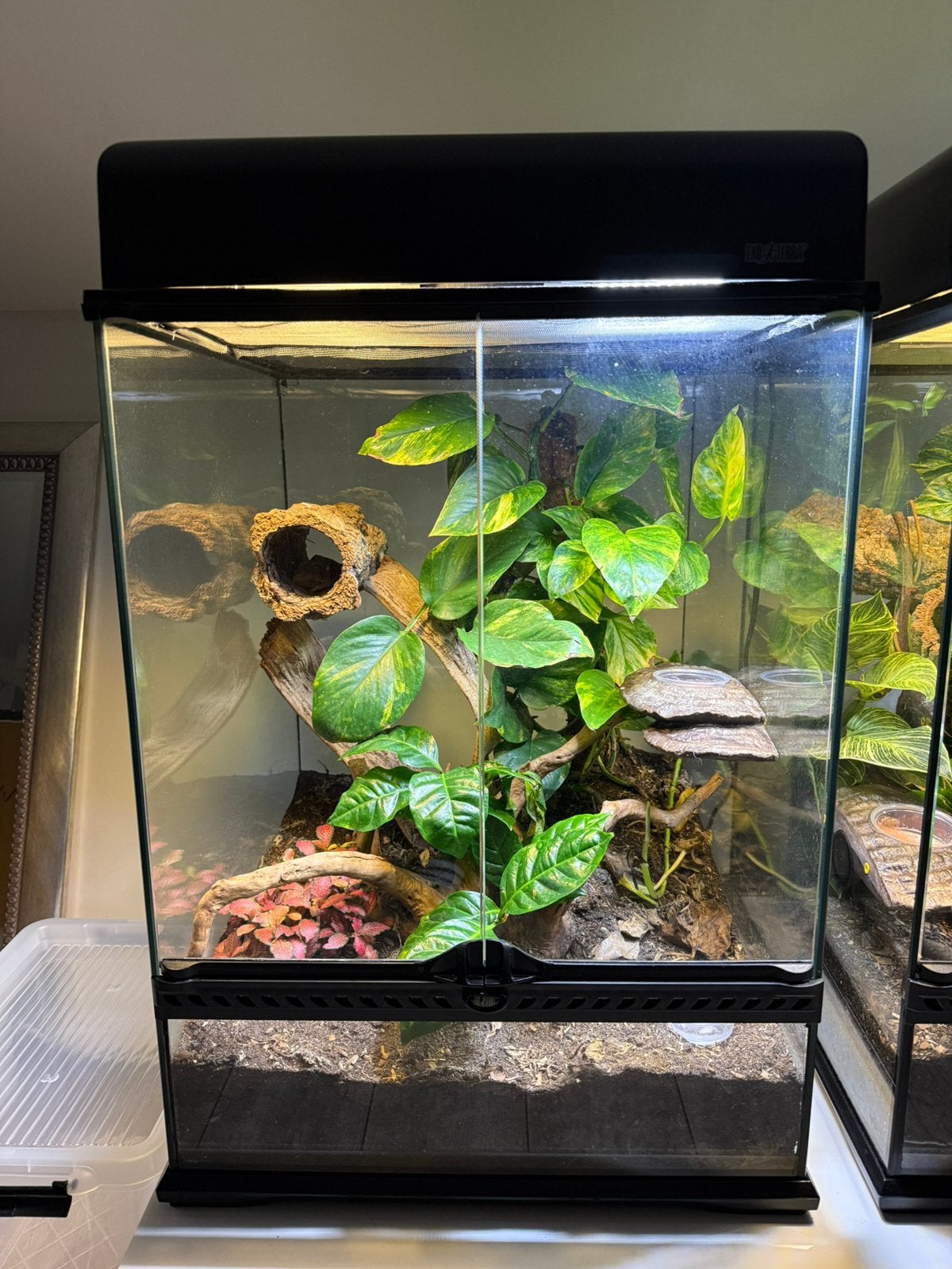 Exo Terra Terrarium - 45x45x60 - Bioactief, Ophalen, Zo goed als nieuw