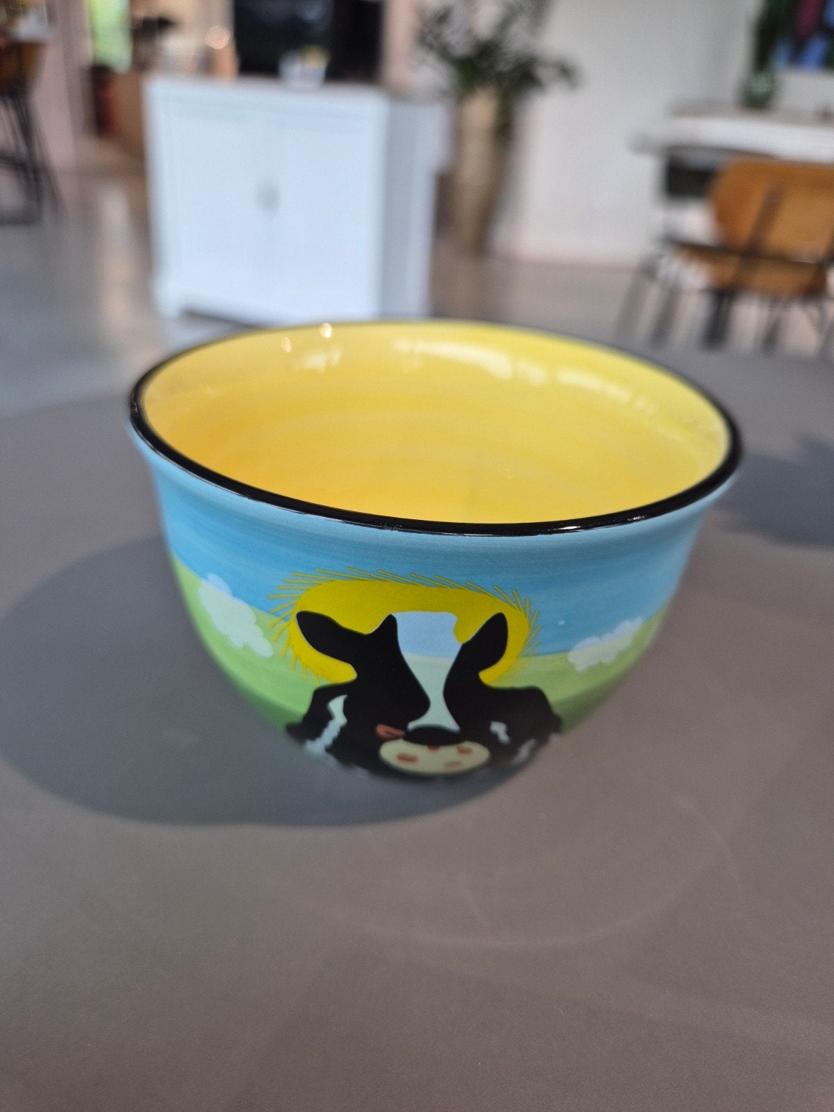 Ben & Jerry's 'Oops, it's empty!' Keramische Schaal, Handbeschilderd, Porselein of Keramiek, Schaal, Rond