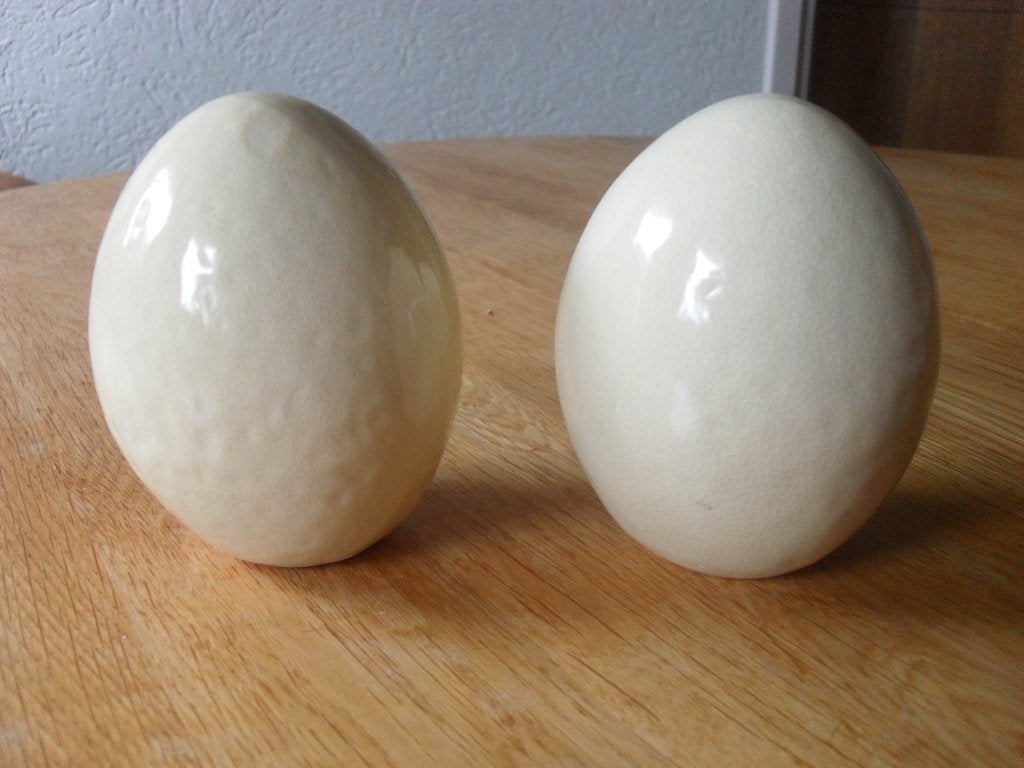Paas ei / paas eieren creme aardewerk nieuw, Diversen, Pasen, Ophalen of Verzenden, Nieuw