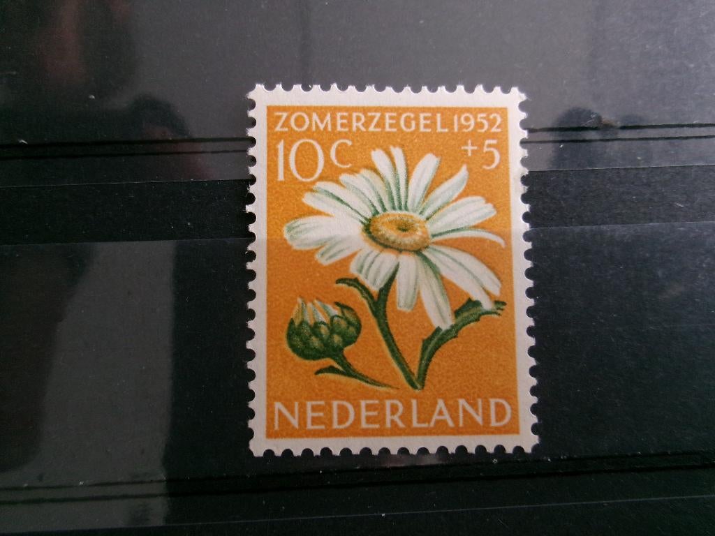 1952 - zomerzegel 10 + 5 ct ongebruikt (327c), Verzenden, Postfris