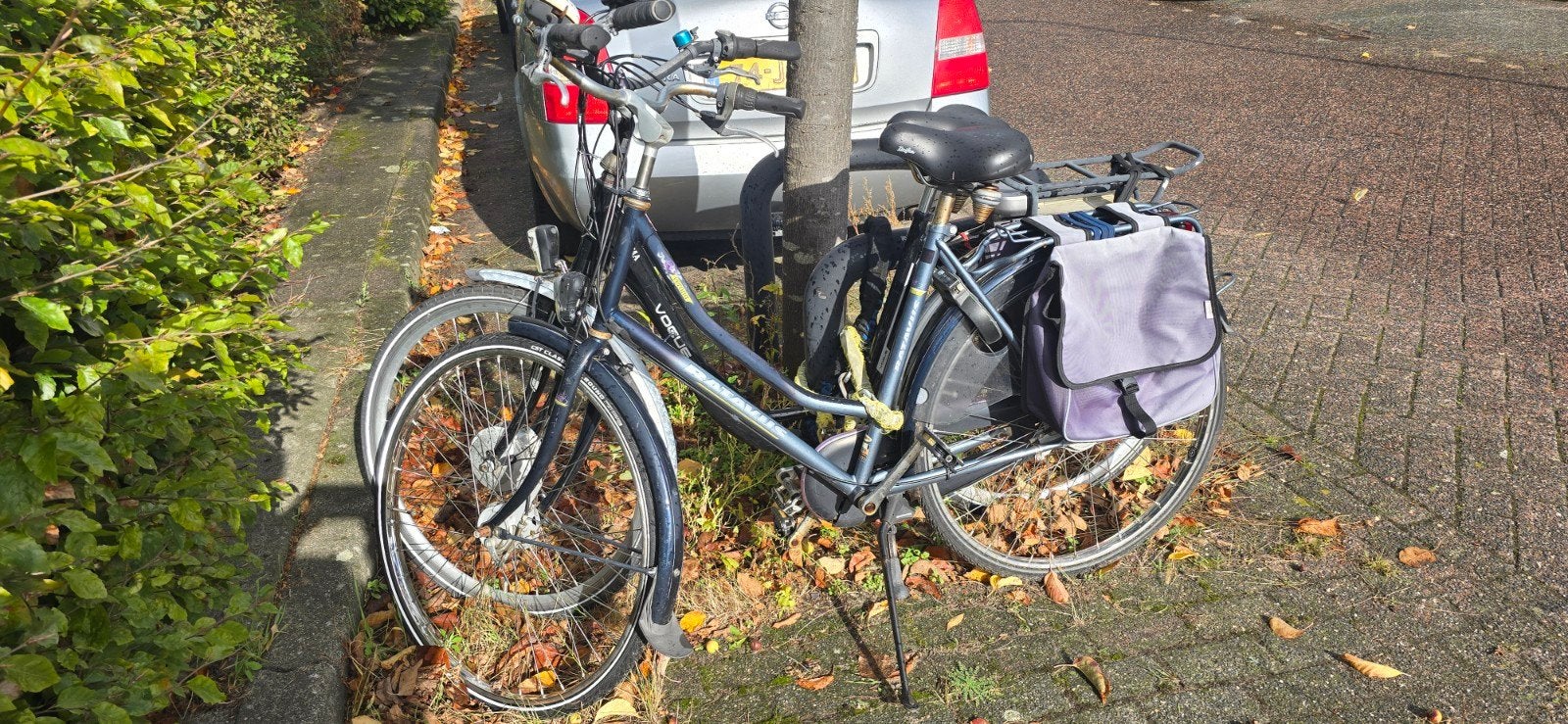 Batavus Verona Damesfiets met Fietstassen, Terugtraprem, Versnellingen, Batavus, Ophalen of Verzenden