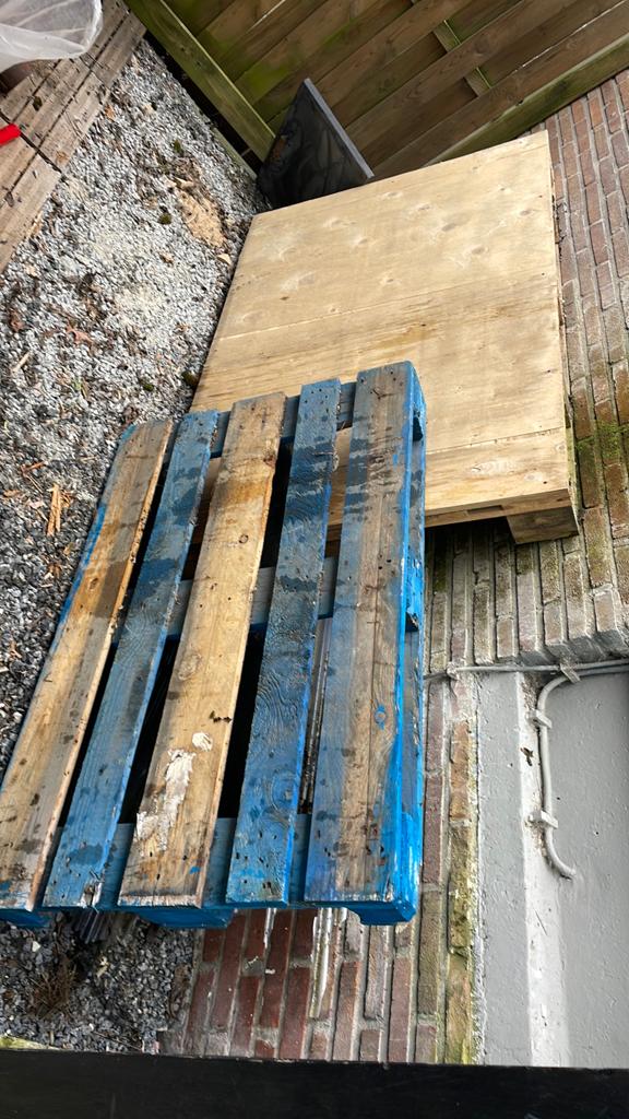 Pallets gratis, Ophalen of Verzenden, Overige houtsoorten, 200 tot 250 cm, Pallet