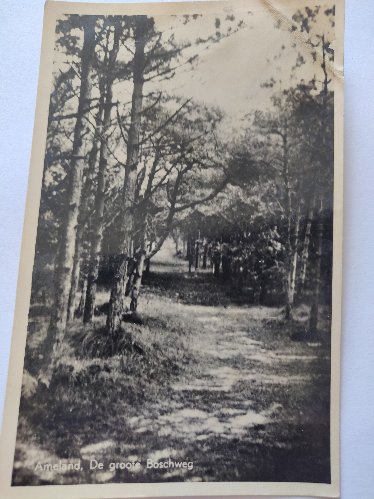 A372 Ameland, Ophalen of Verzenden, 1920 tot 1940, Noord-Holland