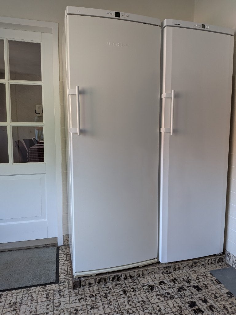 Liebherr vriezer 8 laden kast, Witgoed en Apparatuur, Gebruikt, 160 cm of meer, Energieklasse A of zuiniger, Ophalen