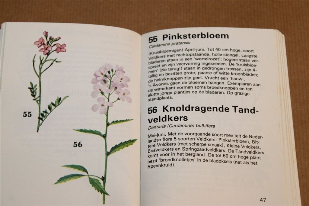 Veldbloemen — Minigids 1982 Moussault, Ophalen of Verzenden, Gelezen