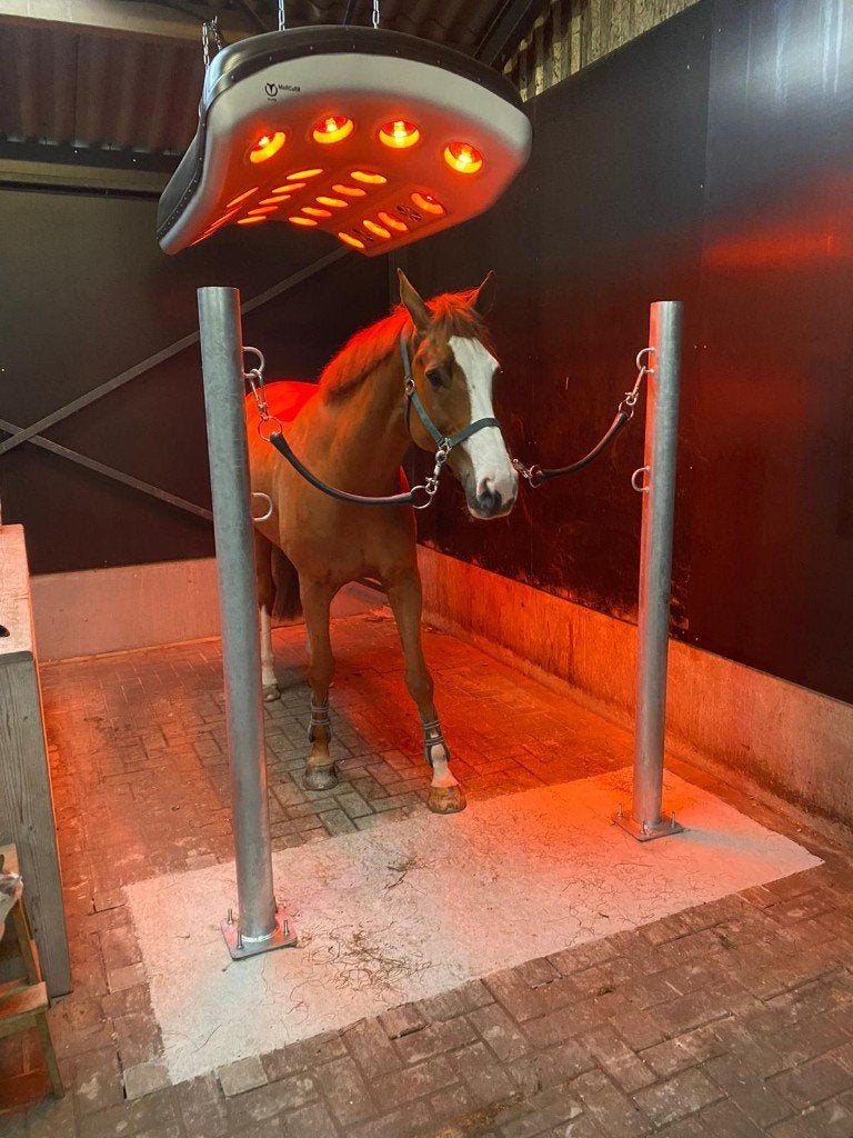 Te koop Paarden solarium, Ophalen, Zo goed als nieuw