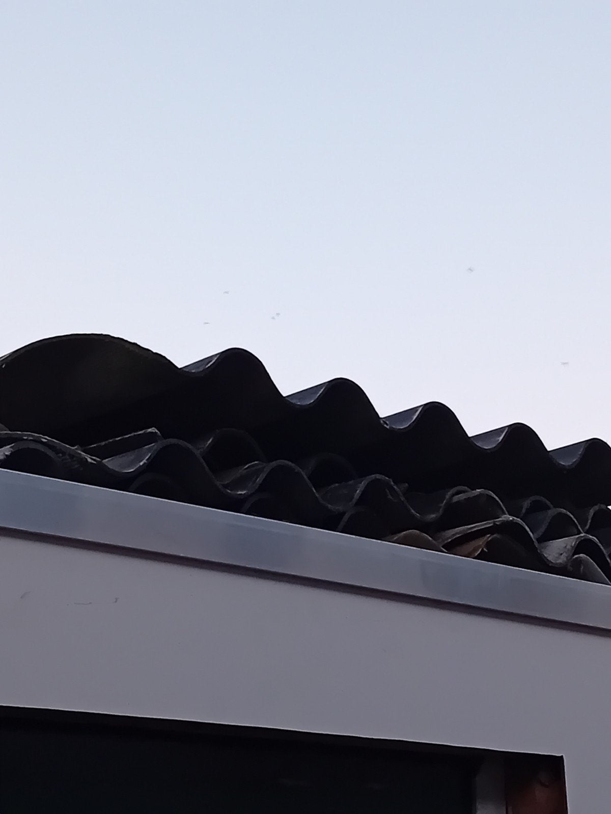 Golfplaten., Ophalen, Zwart, 15 m² of meer, Golfplaat