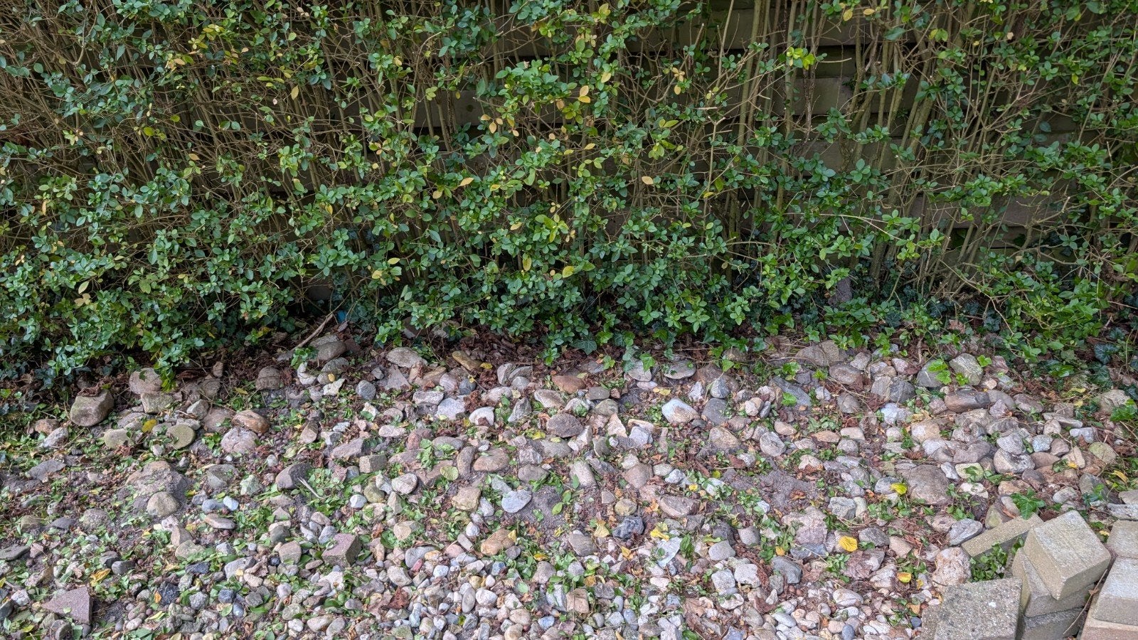Gratis tuin stenen, Tuin en Terras, Ophalen, Gebruikt, Multi, Kei