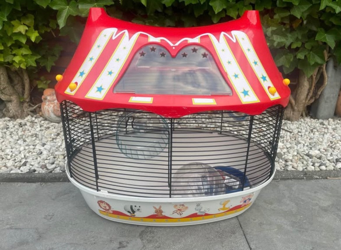 Dierenkooi / knaagdierenkooi, Dieren en Toebehoren, Kooi, Minder dan 75 cm, Zo goed als nieuw, Cavia