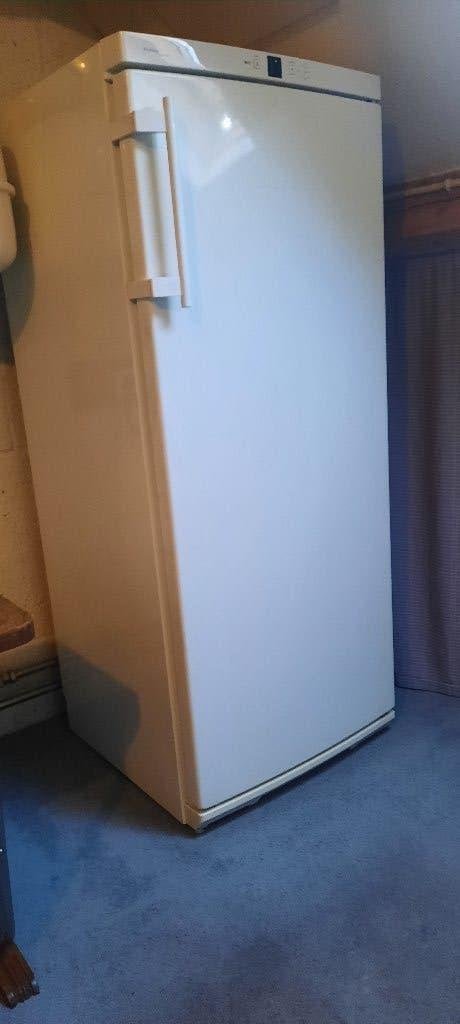 diepvrieskist fabrikaat Liebherr, Witgoed en Apparatuur, Vriezers en Diepvrieskisten, Ophalen, Vrieskist, Gebruikt, 140 tot 160 cm
