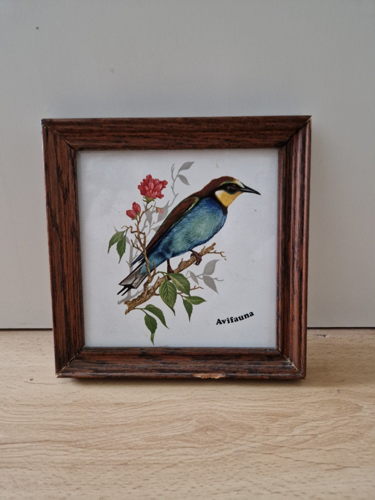 ingelijste tegel vogel hout houten lijst vintage retro, Ophalen of Verzenden, Hout