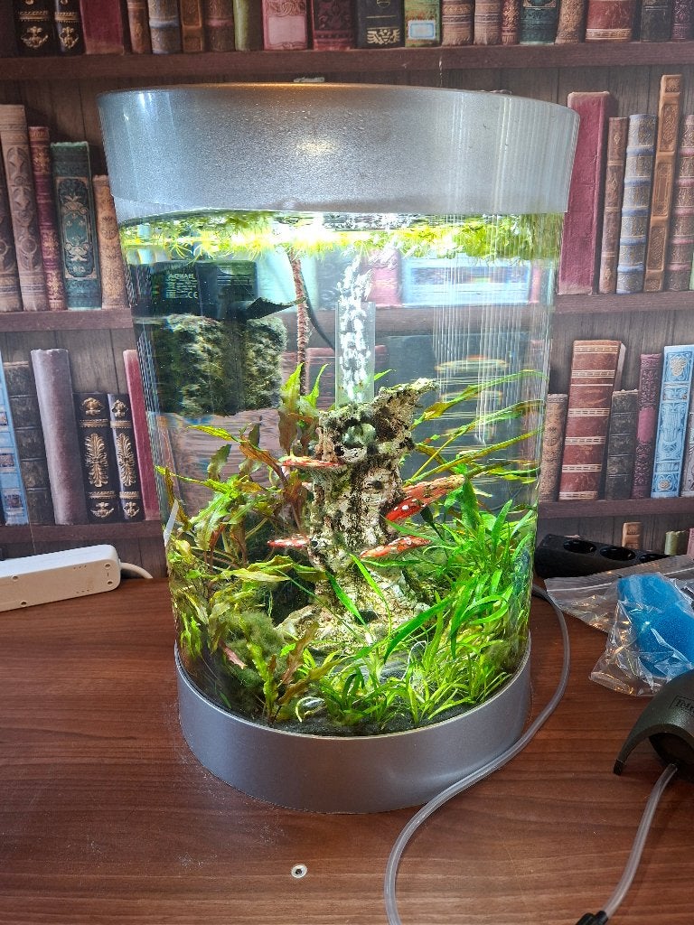 30L Cilinder Aquarium, Ophalen, Inclusief vissen, Gevuld zoetwateraquarium