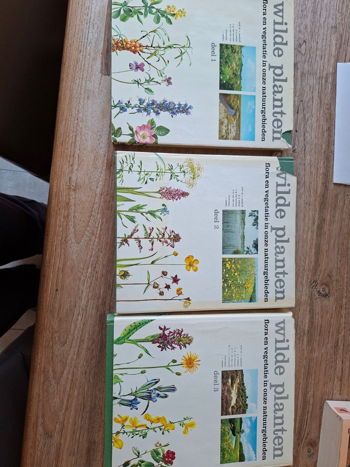 Wilde Planten: Flora en Vegetatie in Onze Natuurgebieden, Boeken, Natuur, Ophalen of Verzenden