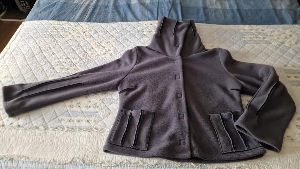 Boris vest maat 44/46, Kleding | Dames, Trui of Vest, Ophalen of Verzenden, Zo goed als nieuw, Grijs