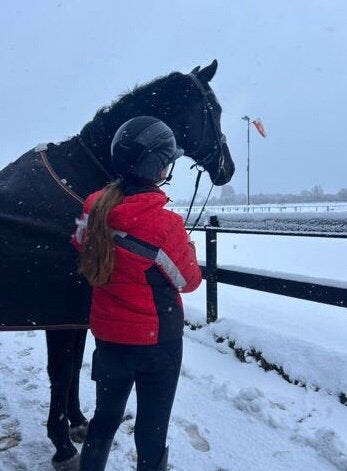 Bijrijder aangeboden / opzoek naar leasepaard of halve stal, Dieren en Toebehoren, Ophalen