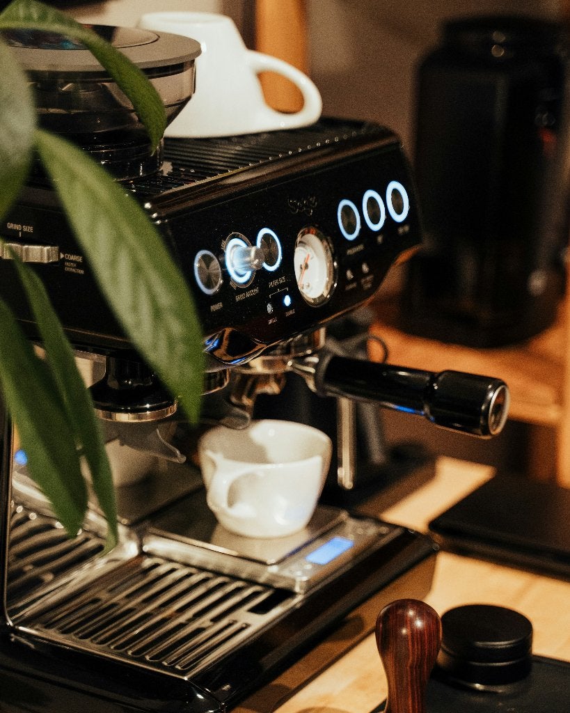 Barista Workshop aan Huis | Espresso & Latte Art, Hobby of Vrije tijd