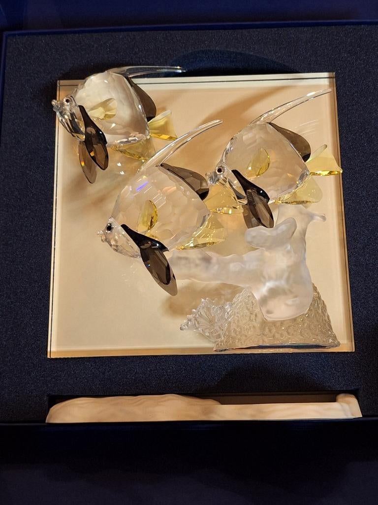 Swarovski Jaarstuk "Wonders of the Sea Commu, Dr.-A.-Swarovski-Straße 30, 6112 Wattens, Oostenrijk, Customer_relations.nl@swarovski.com