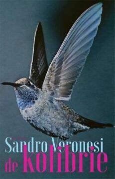 Sandro Veronesi - De kolibri, Ophalen of Verzenden, Zo goed als nieuw, Sandro Veronesi, Wereld overig