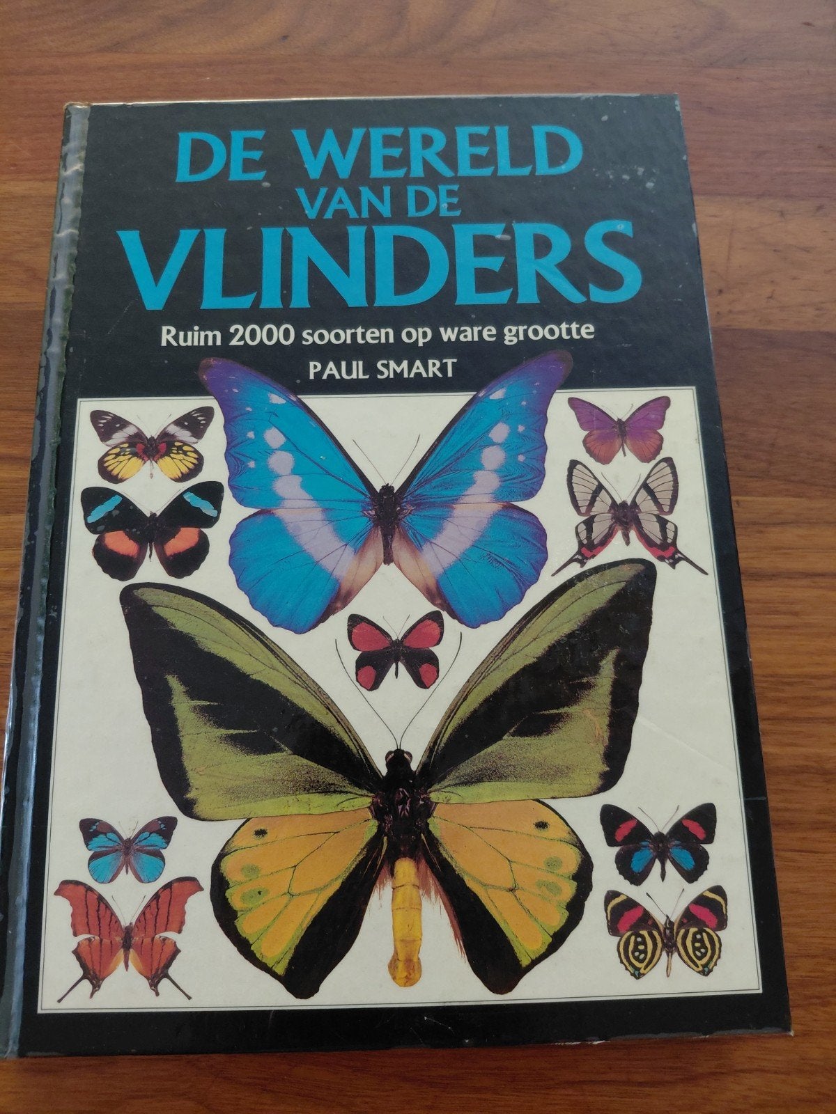 De wereld vd vlinders, Boeken, Encyclopedieën, Ophalen of Verzenden, Gelezen, Dieren, Los deel