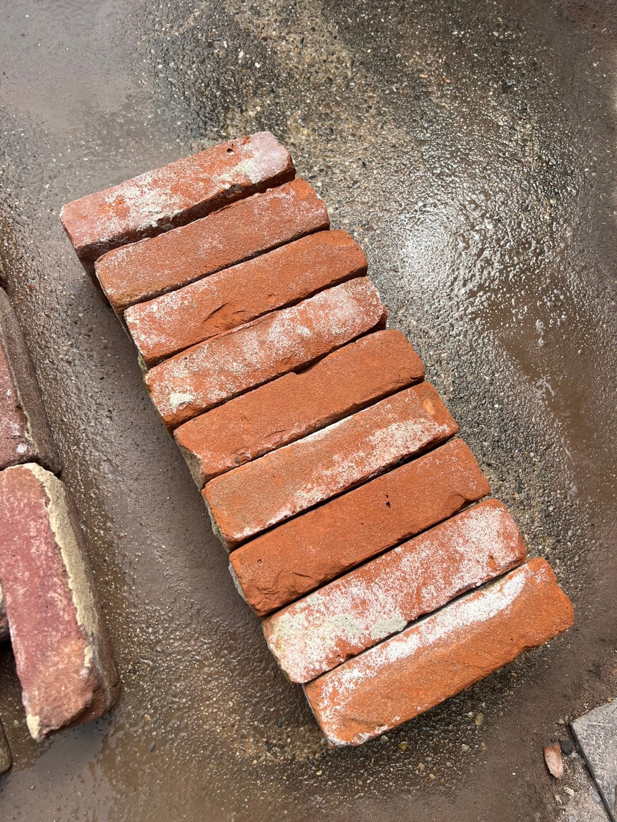 Oude oranje vormbak metselstenen gebikt 22 x 5.5 300M2, Ophalen of Verzenden, Zo goed als nieuw, Bakstenen