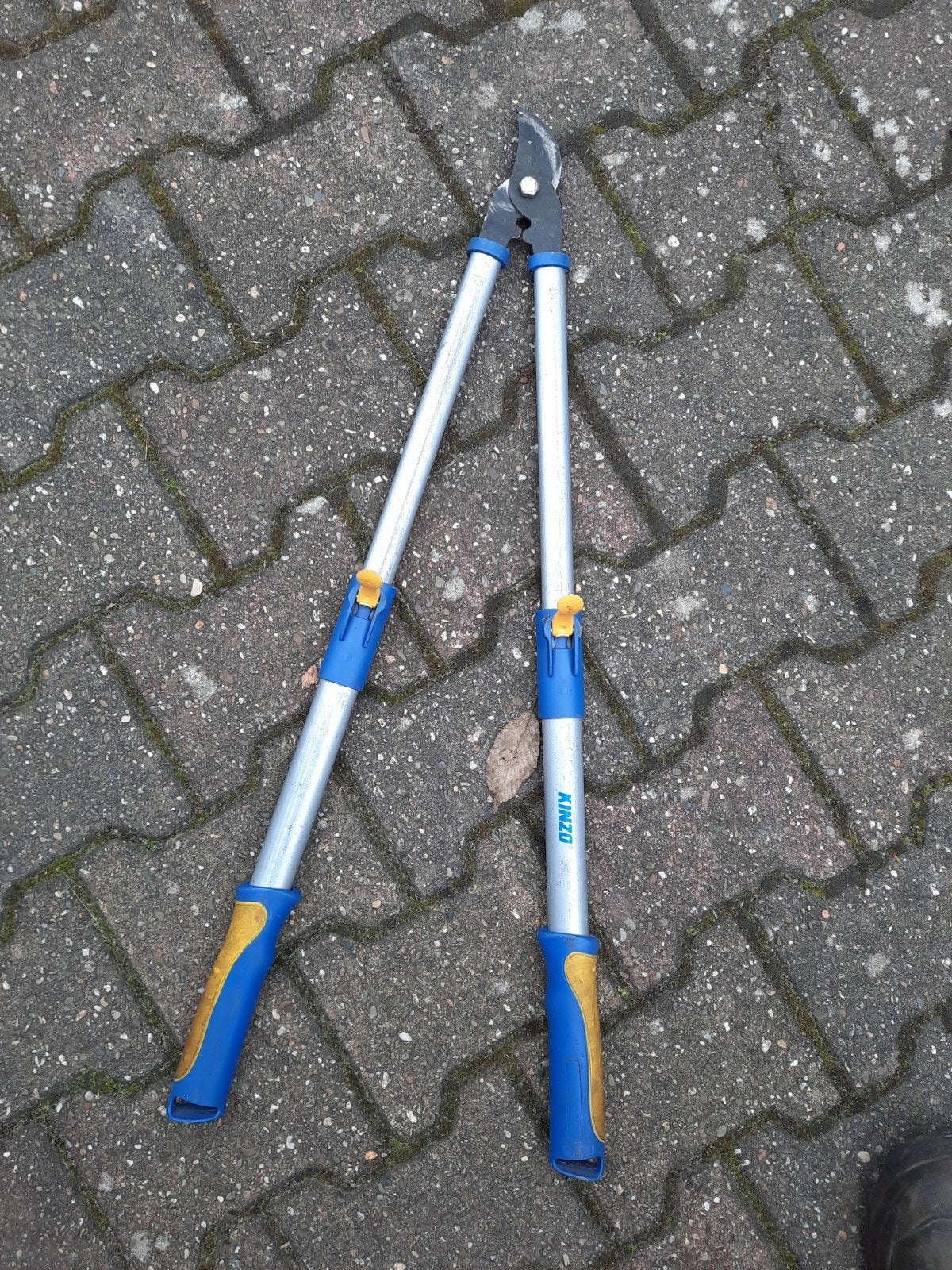 Takkenschaar'snoeischaar, Ophalen of Verzenden, Gebruikt